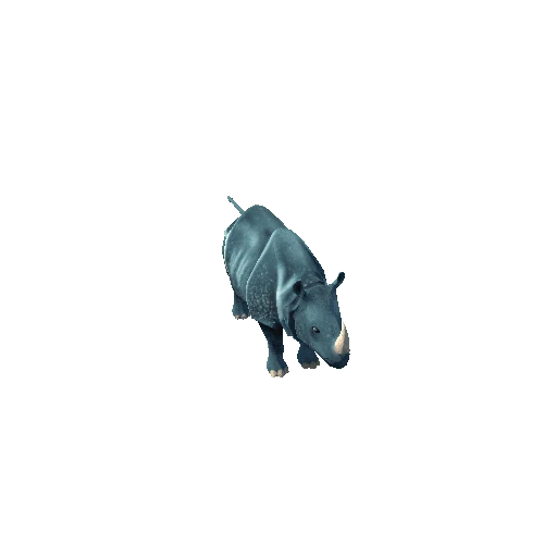 Rhinoceros Sondaicus Blue